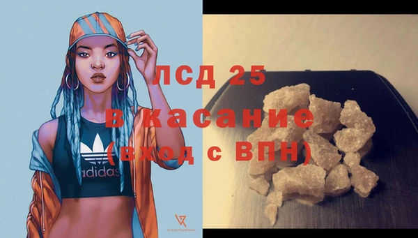 стафф Алзамай