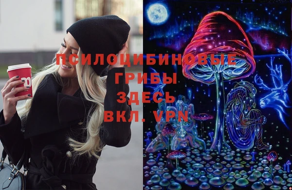 стафф Алзамай