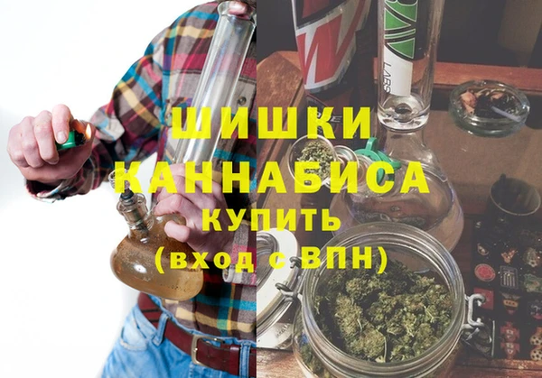 шишки Алексеевка