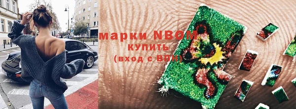 стафф Алзамай