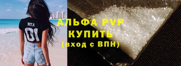 стафф Алзамай