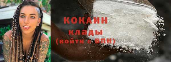 стафф Алзамай