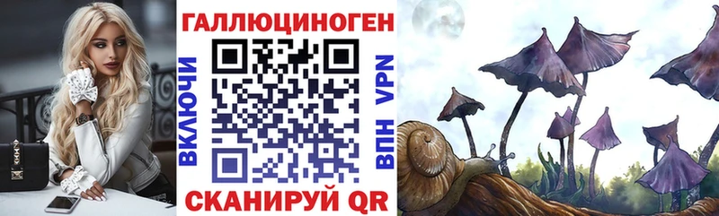 Галлюциногенные грибы Cubensis  Североуральск 