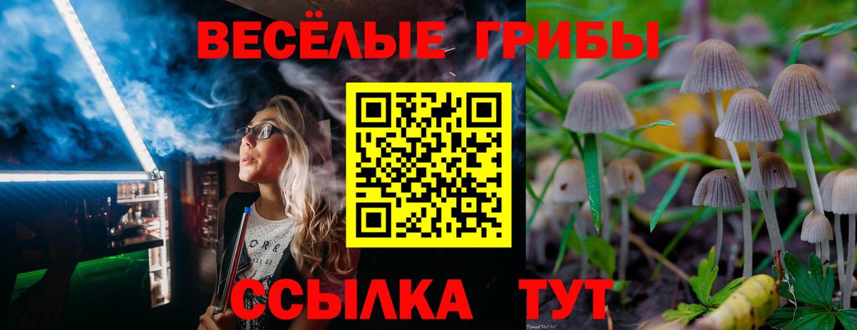 Псилоцибиновые грибы GOLDEN TEACHER  Галлюциногенные грибы Psilocybine cubensis  Вход с VPN  Североуральск 