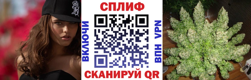 дарнет шоп  Североуральск  Бошки марихуана гибрид 
